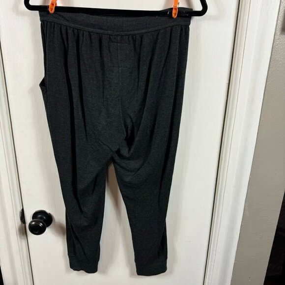 291 Venice Lounge Pant dark gray. Jogger cropped. Size 2 - Picture 5 of 6
